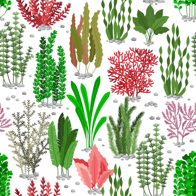 Free Vector  Seaweed seamless pattern. sea weed fur background for marine  fashion. colored seaweed undersea, nature wildlife flora