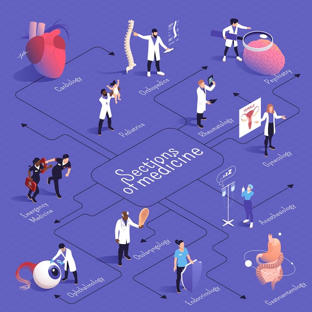 Sezioni del diagramma di flusso isometrico della medicina con cardiologia pediatria medicina d'urgenza ortopedia psichiatria ginecologia e altre descrizioni illustrazione vettoriale