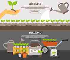 Free vector seedling banner set