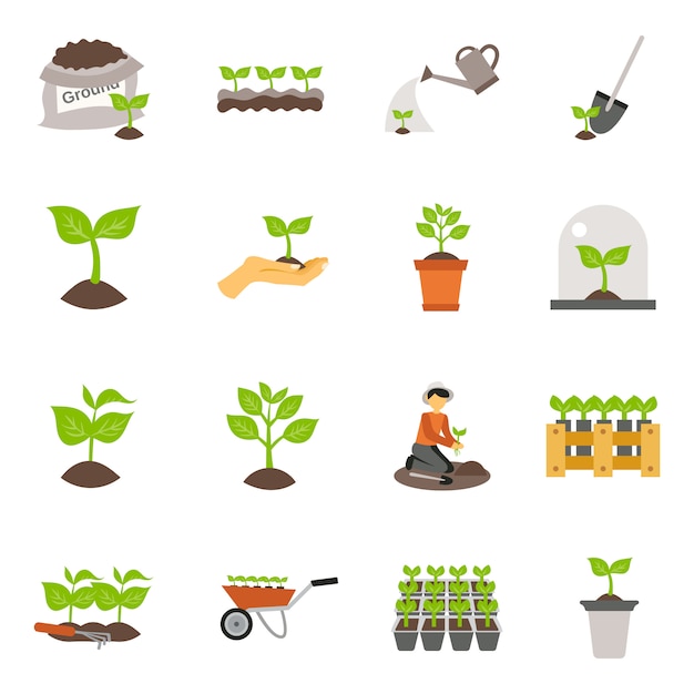 Seedling Flat Icons Set