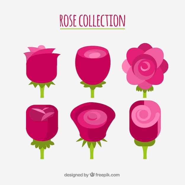 Free vector selection of flowers in pink tones