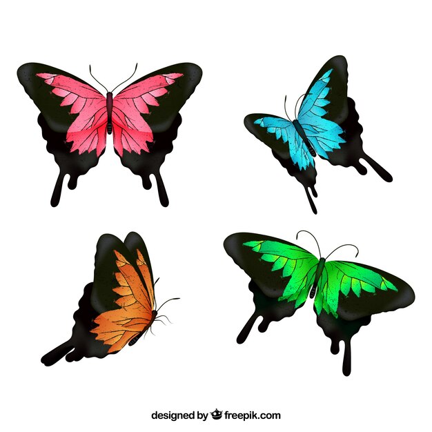 Selection of four colored butterflies