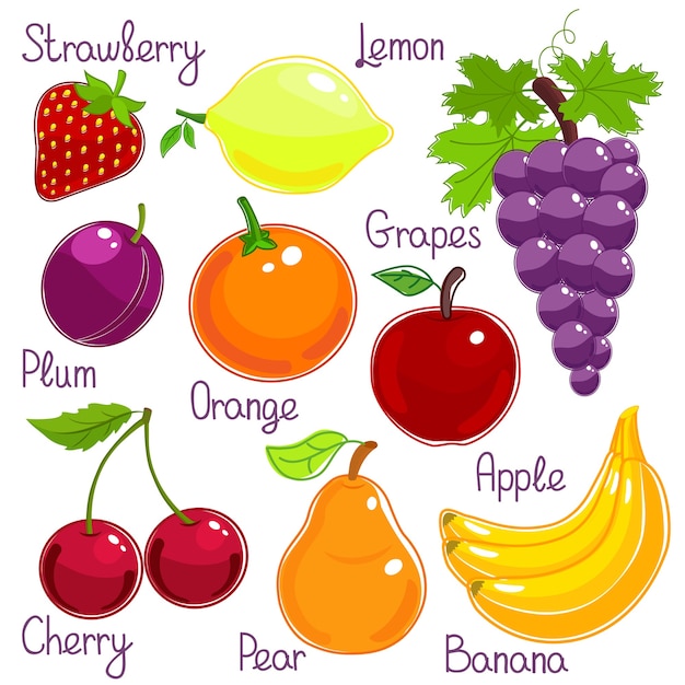 Selection of fresh whole colorful tropical fruit with labels