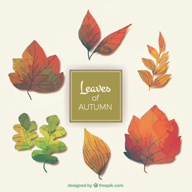 Free vector selection of hand painted leaves for autumn