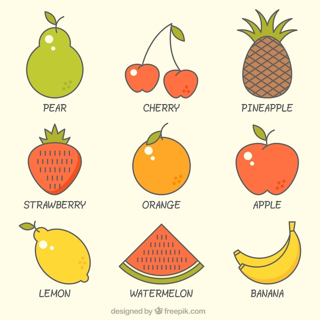 9色の果物の選択