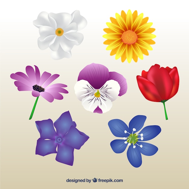 Free vector selection of realistic flowers