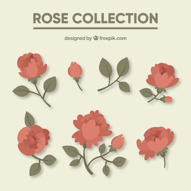 Vettore gratuito selezione di rose in toni rossi
