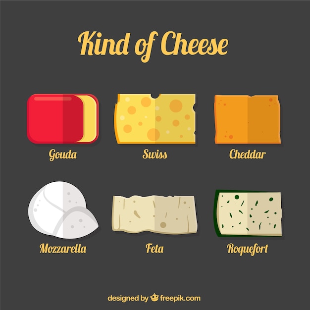 Selection of tasty cheeses