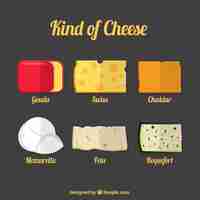 Free vector selection of tasty cheeses