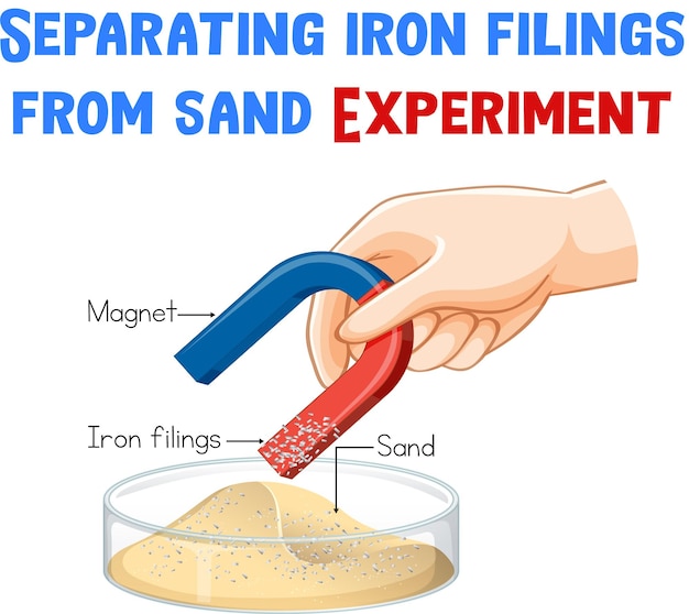 無料ベクター 砂の実験から鉄のファイリングを分離する