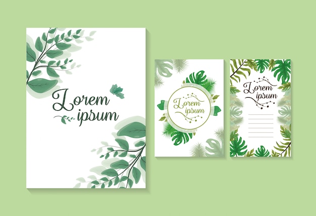 Free vector set of 3 green leaves cards or invitations, template to customize with space to add text