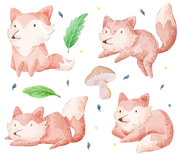 Free vector set of adorable fox. various of fox gesture and color