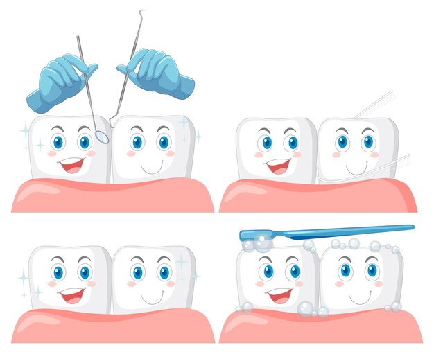 Set of all types of teeth on white background