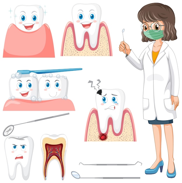 Insieme di tutti i tipi di denti su priorità bassa bianca