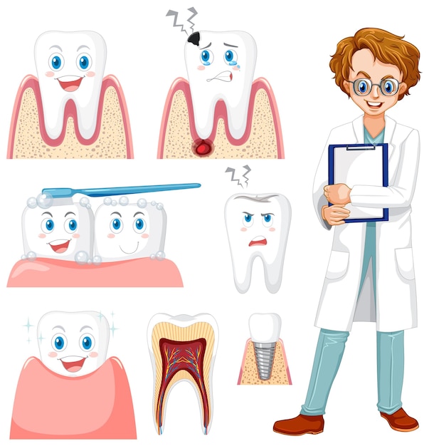 Vettore gratuito insieme di tutti i tipi di denti su priorità bassa bianca