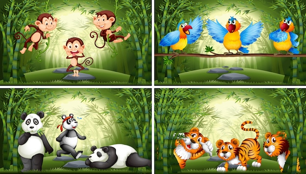 Set of animal in bamboo forest illustration