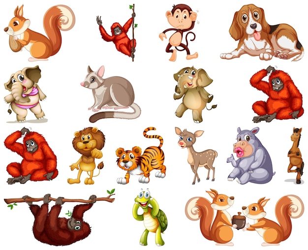 Set of animal cartoon character