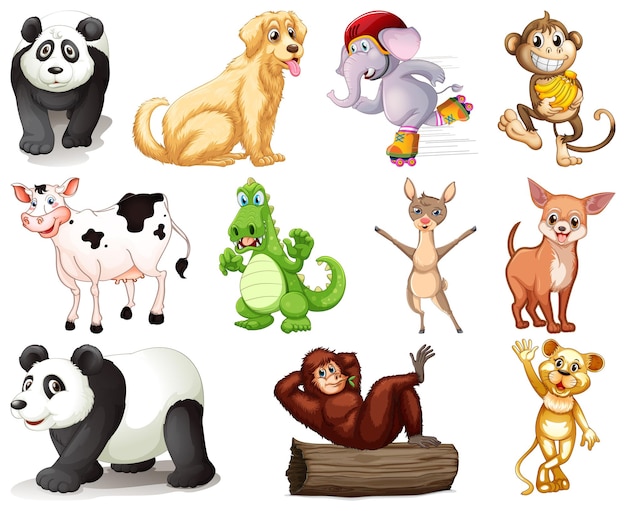 Set of animal cartoon character