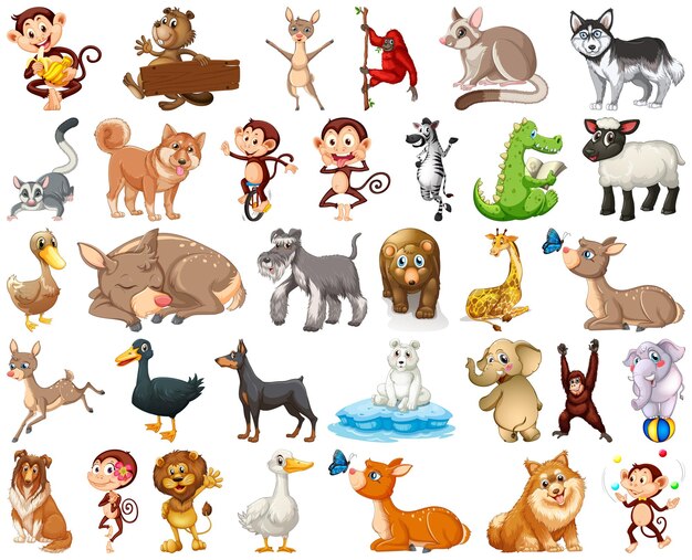 Set of animal cartoon character