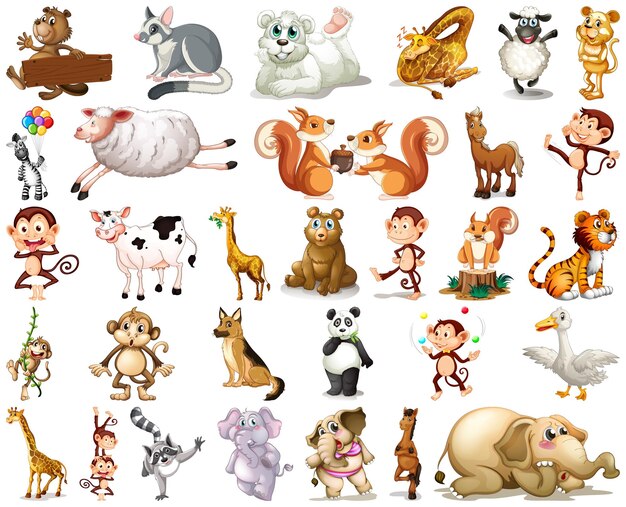 Set of animal cartoon character