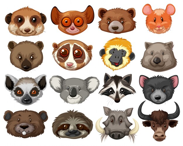 Set of animal heads illustration