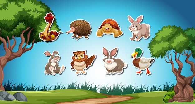 Set of animal stickers