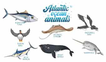 Vettore gratuito set di animali nell'oceano atlantico