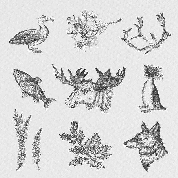 set of animals, sketch style