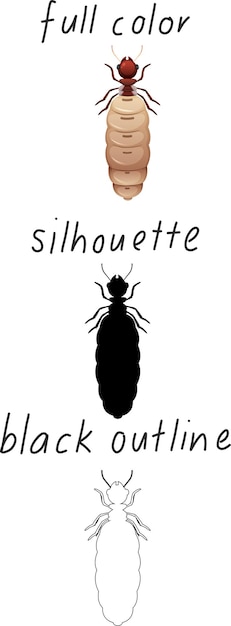 Set of ant in color, silhouette and black outline on white background