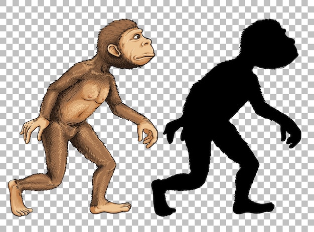 Set di scimmia e la sua silhouette