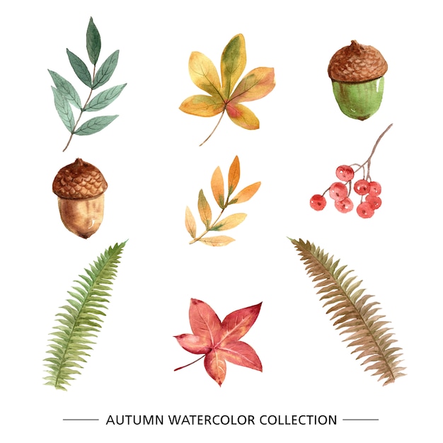 Free vector set of autumn creative watercolor