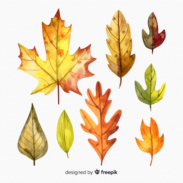 Free vector set of autumn leaves watercolor style