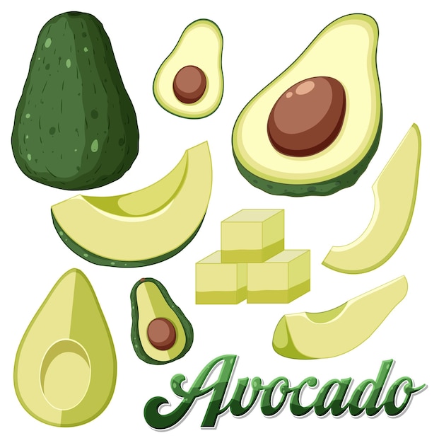 Set of avocado fruit cartoon