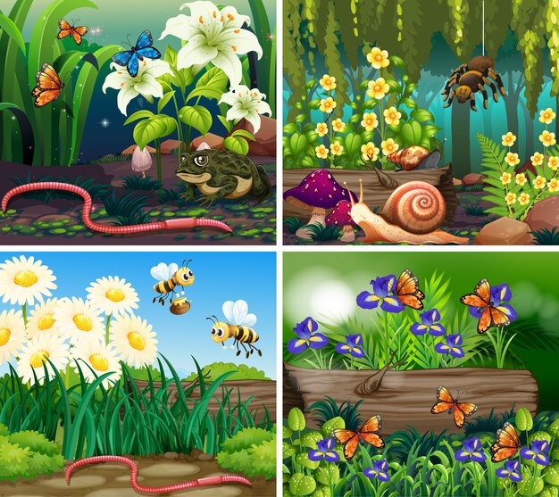 Set of background scene with flowers and insects in the woods