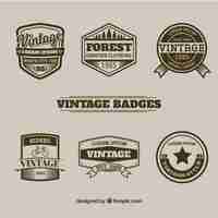 Vettore gratuito set di badge in stile vintage