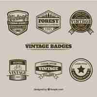 Free vector set of badges in vintage style