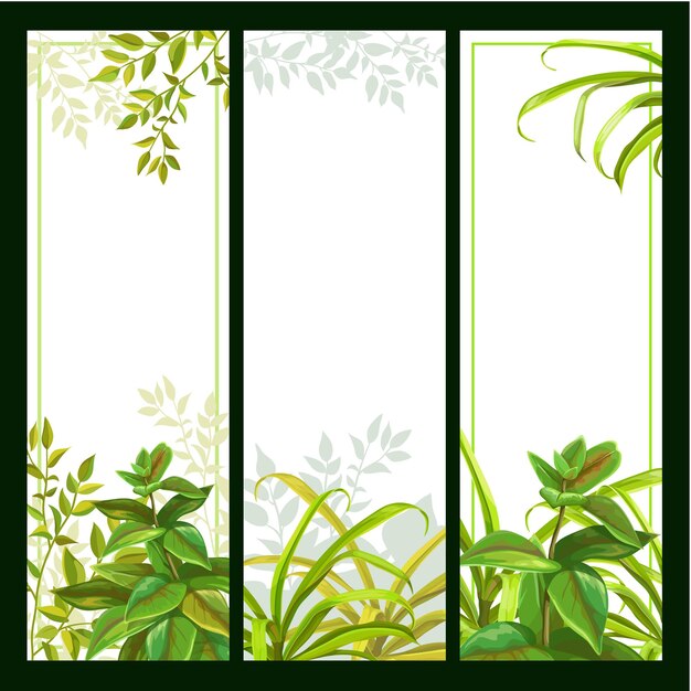 Set of banner background with tropical plants.