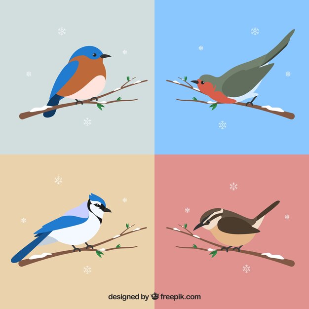 Set of beautiful birds of snowy branches