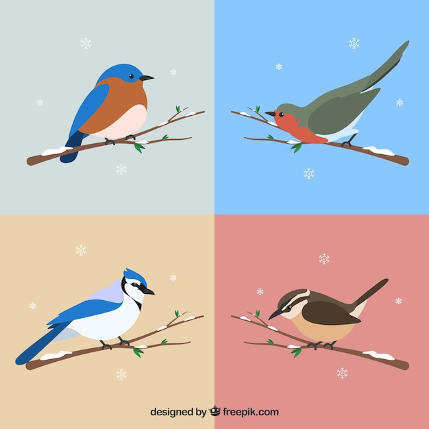 Set of beautiful birds of snowy branches