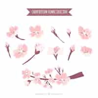 Free vector set of beautiful cherry blossoms