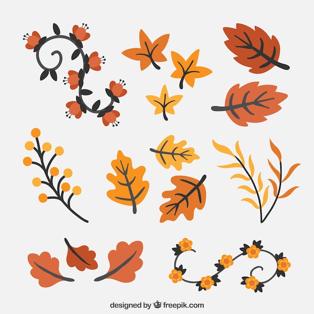 Set of beautiful natural autumn elements