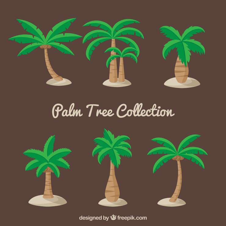 Free Vector set of beautiful palm trees