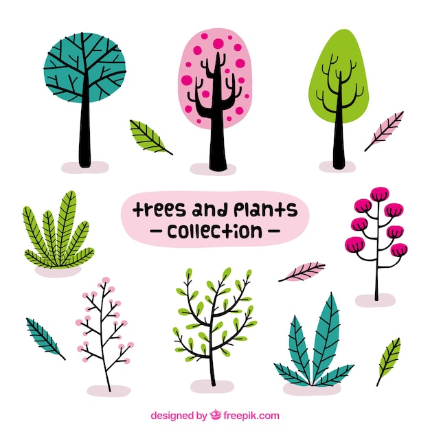 Set of beautiful plants and trees in vintage style