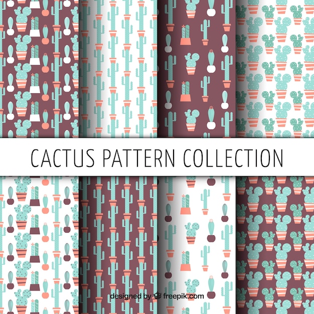 Set of beautiful vintage patterns of cactus in flat design