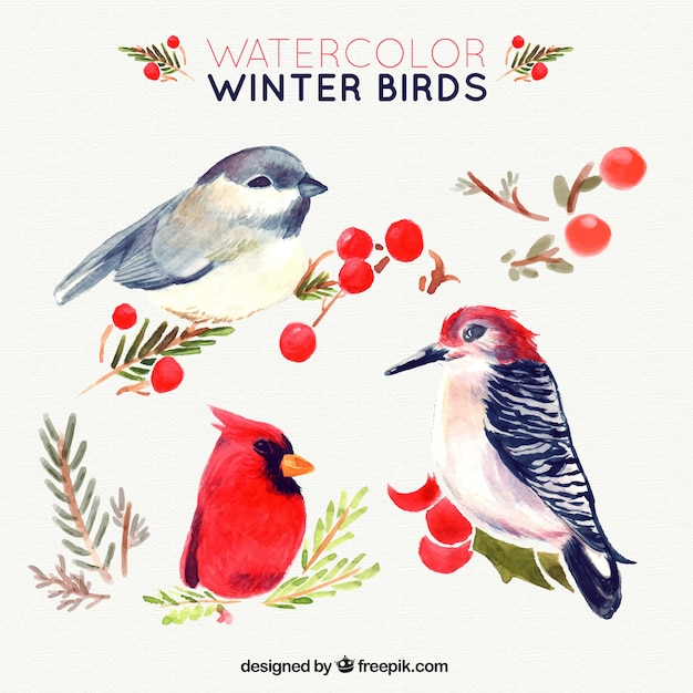 Set of beautiful watercolor birds