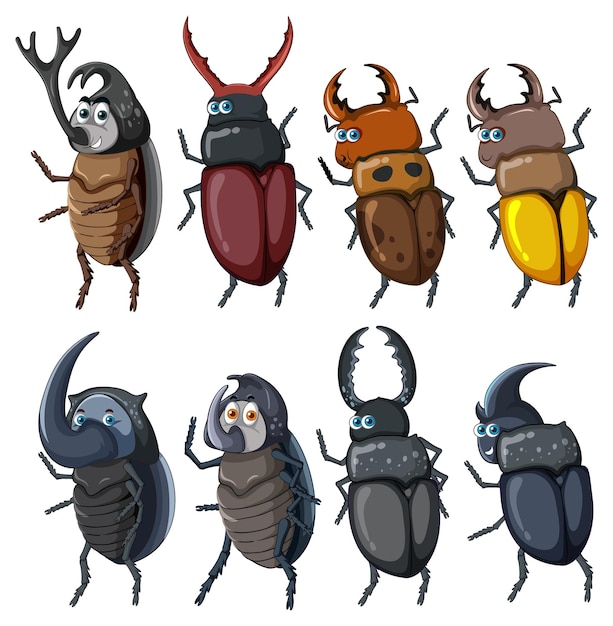 Free vector set of beetle cartoon character