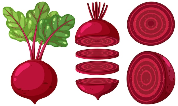 Free vector set of beetroot cartoon