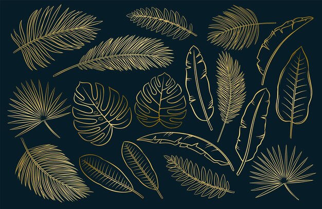 images Tropical Leaves Drawing Background freepik