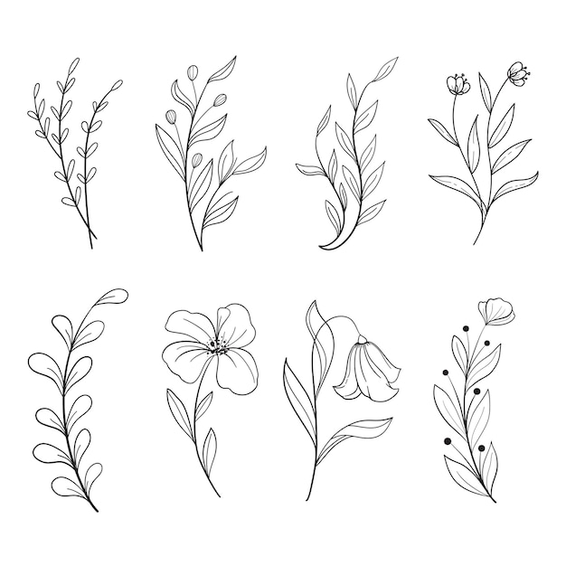 Set di foglie botaniche doodle wildflower raccolta di disegni di arte linea botanica