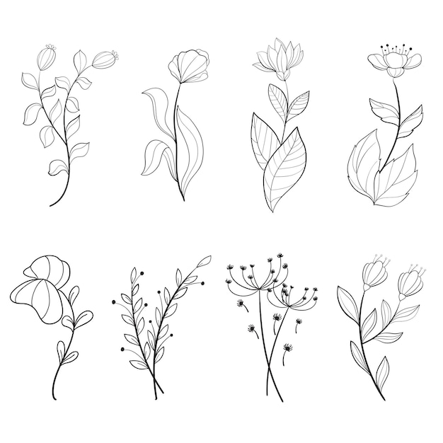 Free vector set of botanical leaf doodle wildflower botanical line art drawings collection